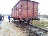 campo di concentramento di Auschwitz